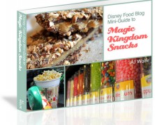 Disney Food Blog Mini-Guide to Magic Kingdom Snacks e-Book
