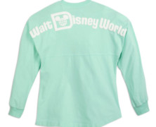 Walt Disney World Spirit Jersey